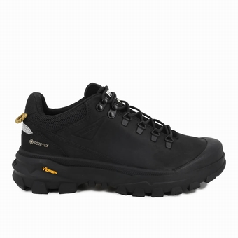 PALLADIUM-PALLARIDER LO GTX-1