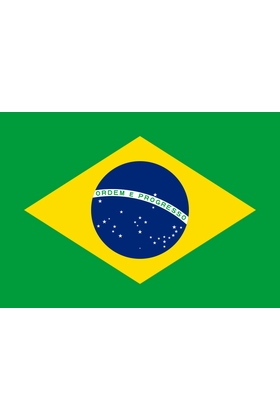 DRAPEAUX BRAZIL 90CM/150CM - FEMCHIC - BRAZIL