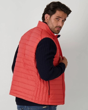 BODY WARMER 1213  2601