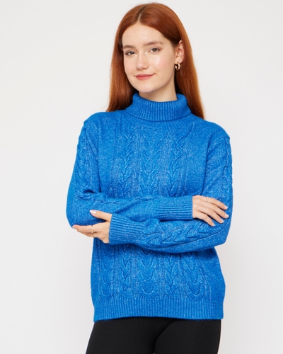 VICCI-232-NS25-1
