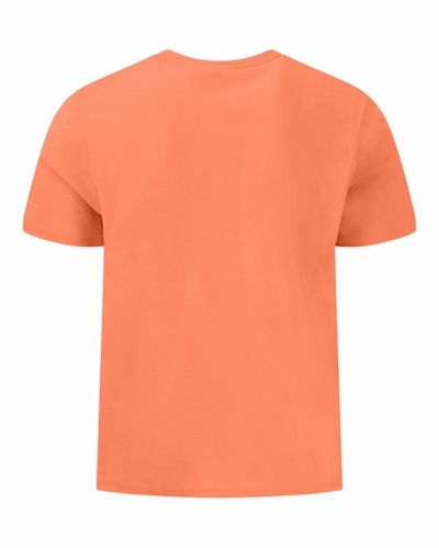 Boutique Fynch-Hatton | Homme | T-shirt | T-shirt uni col rond T-SHIRT RDC 15131500