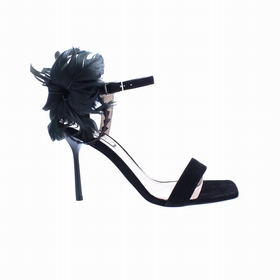 CHAUS CAMELIA 01