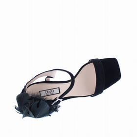 CHAUS CAMELIA 01