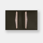 PORTE 10 CARTES DOUBLE PIQURE - LES ATELIERS FOURÈS - MAQUIS - 2