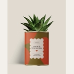 CACTUS - DIAIWAIE - AMOUR TOUJOURS - 1