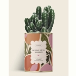 CACTUS - DIAIWAIE - BONNE FETE MAMAN - 1