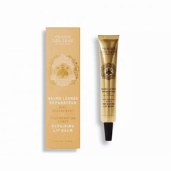 BAUME LEVRES 15 ML - PANIER DES SENS - MIEL - 1