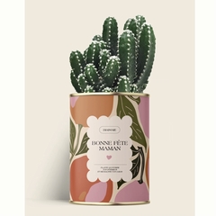 CACTUS - DIAIWAIE - BONNE FETE MAMAN - 1