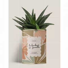 CACTUS - DIAIWAIE - LE BONHEUR FAMILLE - 1