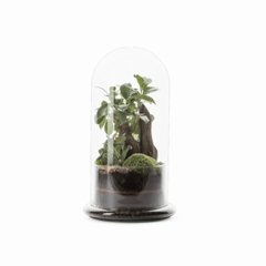 TERRA SPICY L - NATURALYS -  - 1