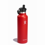 BOUTEILLE ISOTHERME 21OZ/621ML - HYDRO FLASK - 612/GOJI - 1