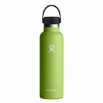 BOUTEILLE ISOTHERME 21OZ/621ML - HYDRO FLASK - 321/SEAGRASS - 1