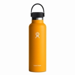 BOUTEILLE ISOTHERME 21OZ/621ML - HYDRO FLASK - 827/STARFISH - 1