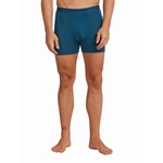 MS ANATOMICA BOXER - ICEBREAKER - 0GP1/ATLANTIS - 1