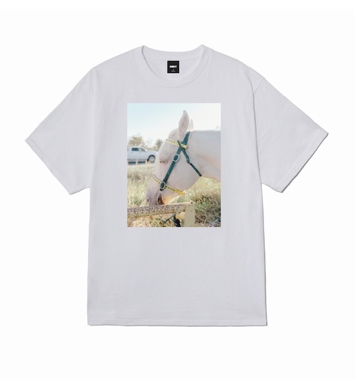 OBEY-165264537-1
