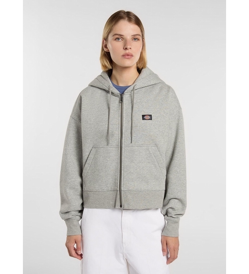 DICKIES-DK0A4XD3HG01-1