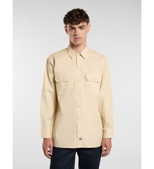 DICKIES-DK0A4Y26L171-1