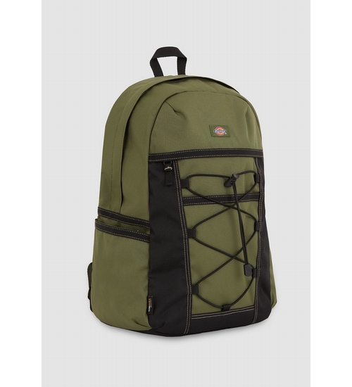 DICKIES-DK0A4Y33K721-1