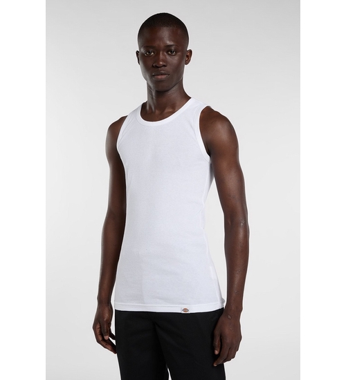 DICKIES-DK0A4ZB2WHX1-1