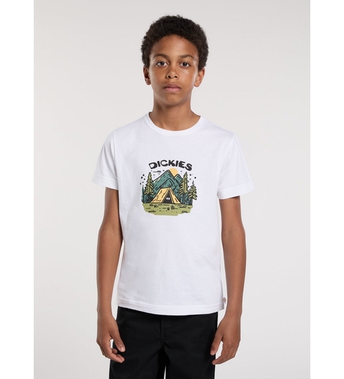 DICKIES-DK0A88DA0WH1-1