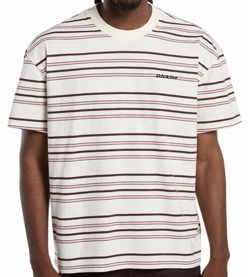 DICKIES-DK0A88GFC481-1