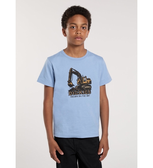 DICKIES-DK0A89FFL391-1