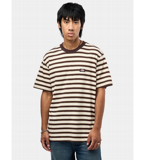 DICKIES-DK0A8CD5CBX1-1