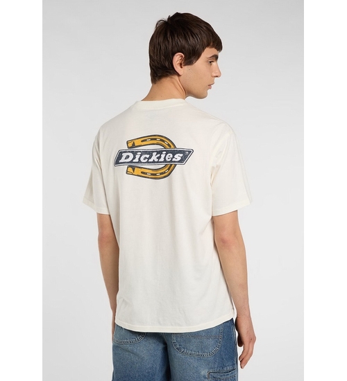 DICKIES-DK0A8CIOC481-1