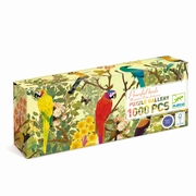 DJECO-08983-1