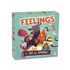 FEELINGS JEUX SOCIETE BLAM -1