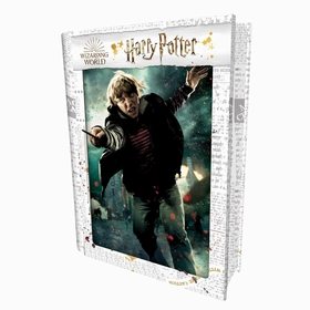 PUZ HARRY POTTER BOITE METAL PUZZLES DIVERS -1