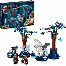 HARRY POTTER FORET INTER 76432 JEUX CONSTRUCTION LEGO -1