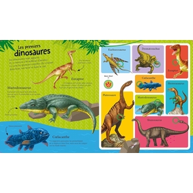 LIVRE SONORE DINOSAURES LIVRES AUZOU -2