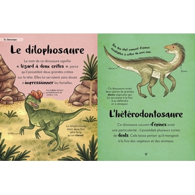 ANTHOLOGIE DES DINOSAURES LIVRES AUZOU -2