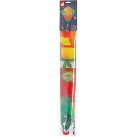 CERF VOLANT LION PLEIN AIR JANOD -1