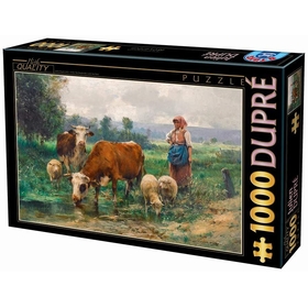 PUZZLES 1000 DUPRE PUZZLES D-TOYS -1