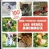 LES BEBES ANIMAUX LIVRES AUZOU -1