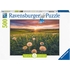 500 PCS PISSENLITS CREPUSCULE PUZZLES RAVENSBURGER -1