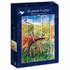 1000 PCS OISEAUX VELO PUZZLES BLUEBIRD -1