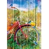 1000 PCS OISEAUX VELO PUZZLES BLUEBIRD -2