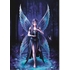 1000 PCS ANNE STOKES PUZZLES BLUEBIRD -2