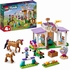 LEGO FRIENDS DRESSAGE 41746 JEUX CONSTRUCTION LEGO -1