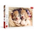 PUZZLES 500 CHATONS ENDORMIS PUZZLES TREFL -1