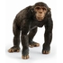 SCHLEICH CHIMPANZE FIGURINES SCHLEICH -1