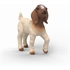 SCHLEICH CHEVREAU BOER FIGURINES SCHLEICH -1