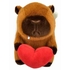 1 PELUCHE 20 CM CAPYBARA PELUCHES DIVERS -1