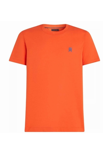 TOMMY HILFIGER-MW0MW39256--2
