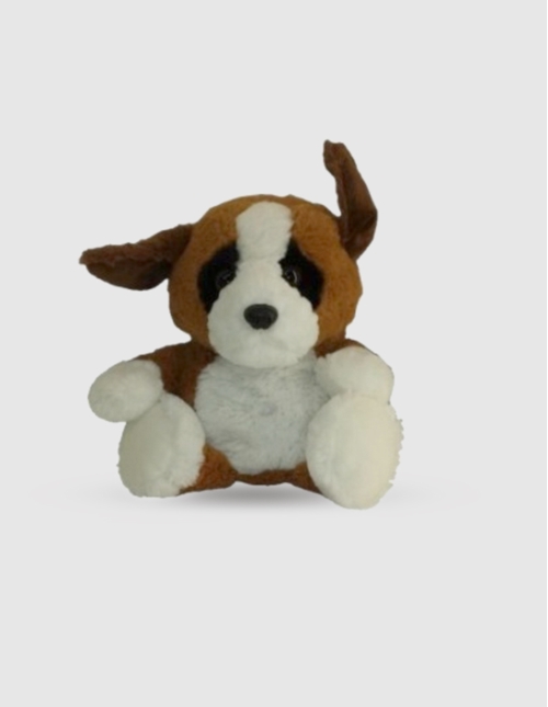 PIGUY SPORT-LASSTBERNARD--2