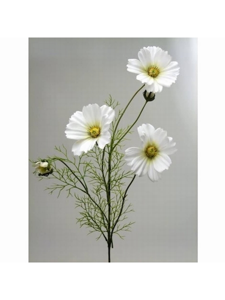FLEURS COSMOS BLANC - SELECTION KAMEME CONCEPT - BLANC - 1