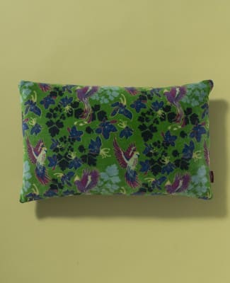 COUSSIN VELOURS ANCOLIE - LES TOURISTES PARIS - VERT